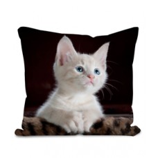 White Kitten 100% Polyester Velour Cushion - Original Artwork     202403110414
